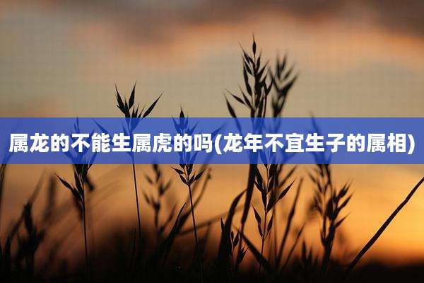 属龙的不能生属虎的吗(龙年不宜生子的属相)