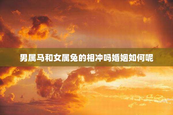 男属马和女属兔的相冲吗婚姻如何呢