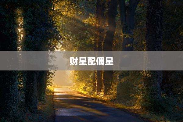 财星配偶星