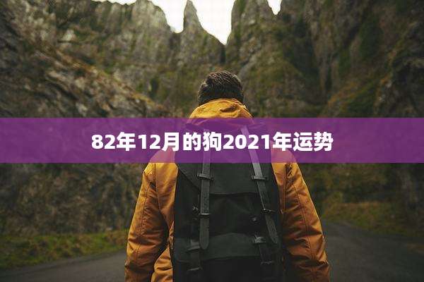 82年12月的狗2021年运势