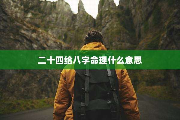 二十四给八字命理什么意思