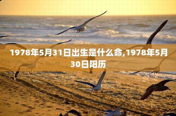 1978年5月31日出生是什么命,1978年5月30日阳历