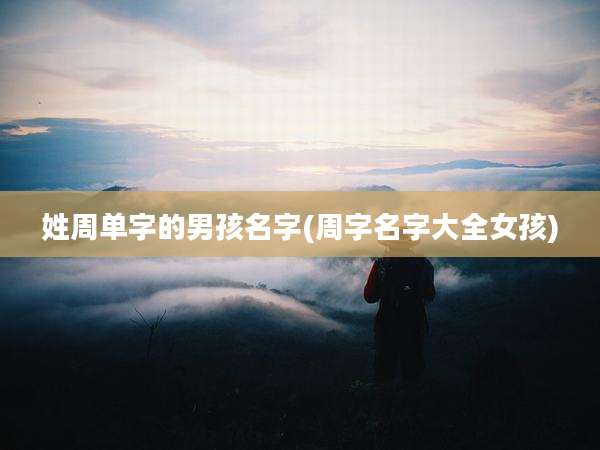 姓周单字的男孩名字(周字名字大全女孩)