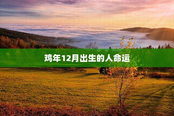 鸡年12月出生的人命运