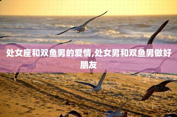 处女座和双鱼男的爱情,处女男和双鱼男做好朋友