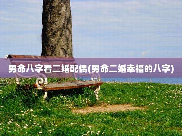 男命八字看二婚配偶(男命二婚幸福的八字)