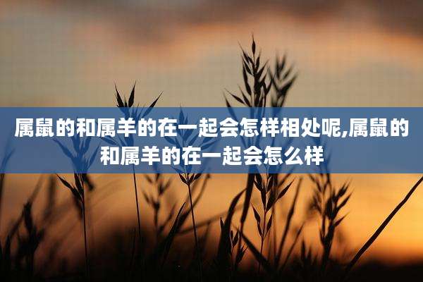 属鼠的和属羊的在一起会怎样相处呢,属鼠的和属羊的在一起会怎么样