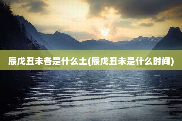 辰戊丑未各是什么土(辰戊丑未是什么时间)