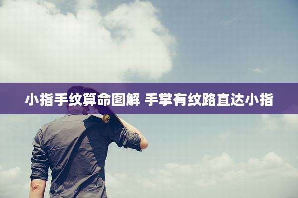 小指手纹算命图解 手掌有纹路直达小指