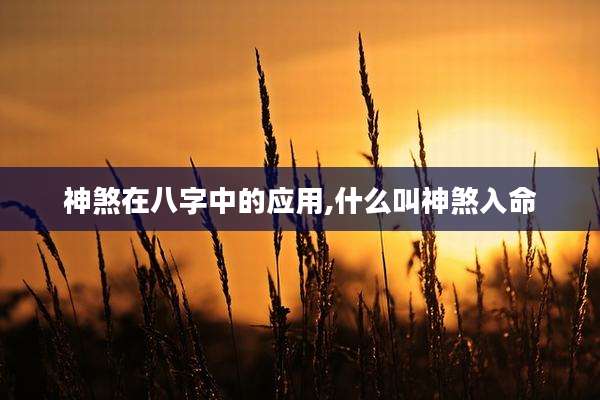 神煞在八字中的应用,什么叫神煞入命