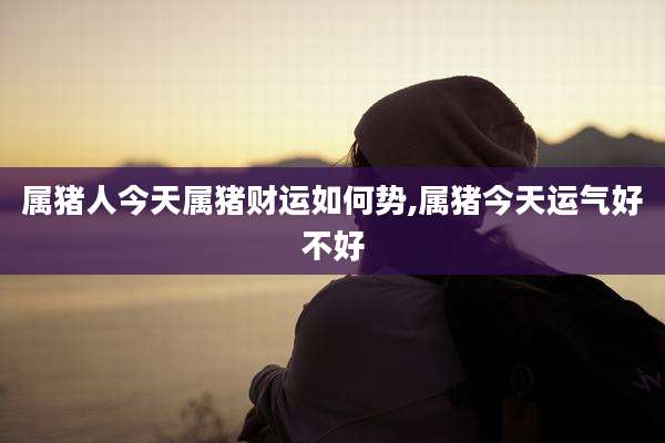 属猪人今天属猪财运如何势,属猪今天运气好不好