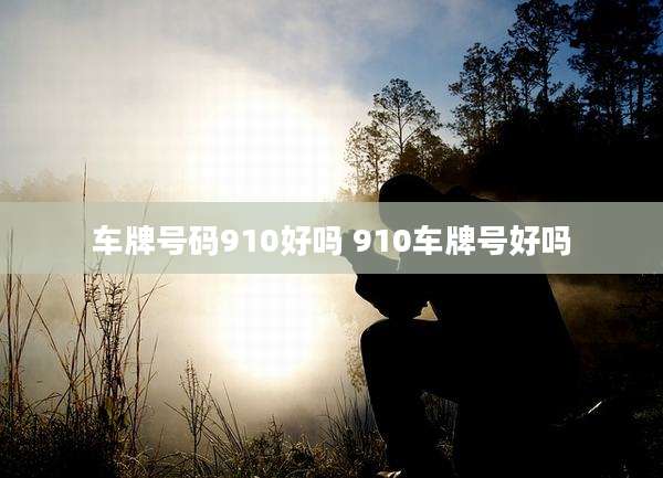 车牌号码910好吗 910车牌号好吗