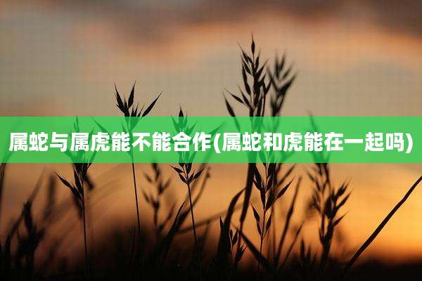 属蛇与属虎能不能合作(属蛇和虎能在一起吗)