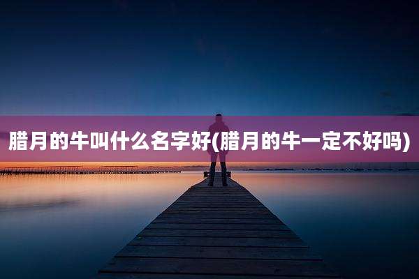 腊月的牛叫什么名字好(腊月的牛一定不好吗)