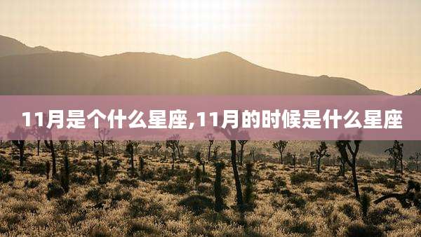 11月是个什么星座,11月的时候是什么星座