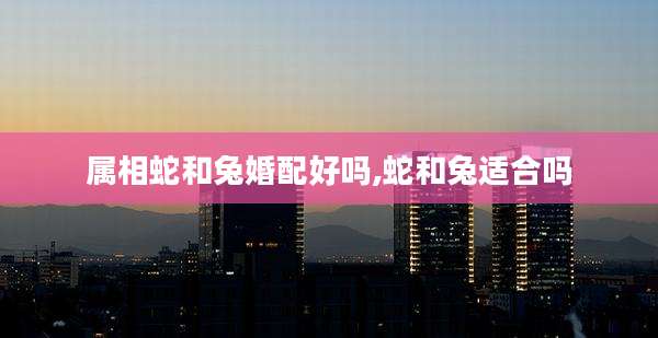 属相蛇和兔婚配好吗,蛇和兔适合吗