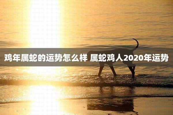 鸡年属蛇的运势怎么样 属蛇鸡人2020年运势