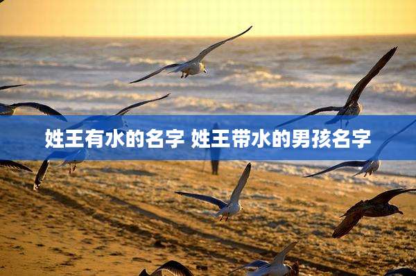姓王有水的名字 姓王带水的男孩名字