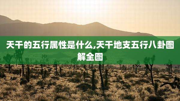 天干的五行属性是什么,天干地支五行八卦图解全图