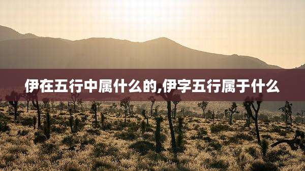 伊在五行中属什么的,伊字五行属于什么