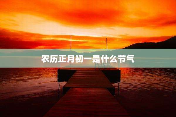 农历正月初一是什么节气