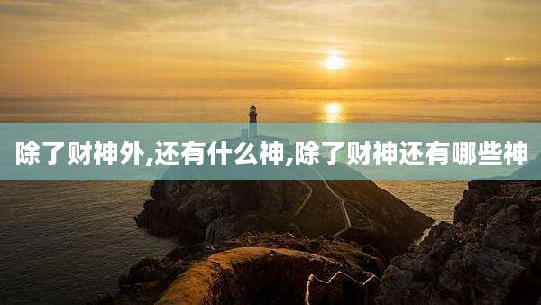 除了财神外,还有什么神,除了财神还有哪些神