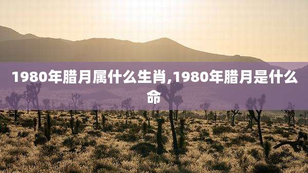 1980年腊月属什么生肖,1980年腊月是什么命