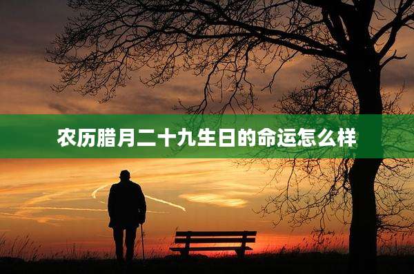农历腊月二十九生日的命运怎么样