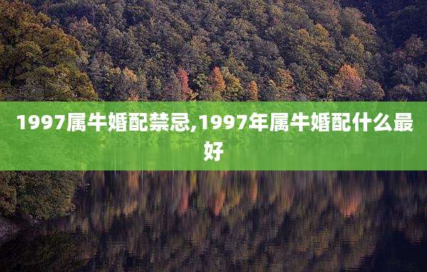 1997属牛婚配禁忌,1997年属牛婚配什么最好