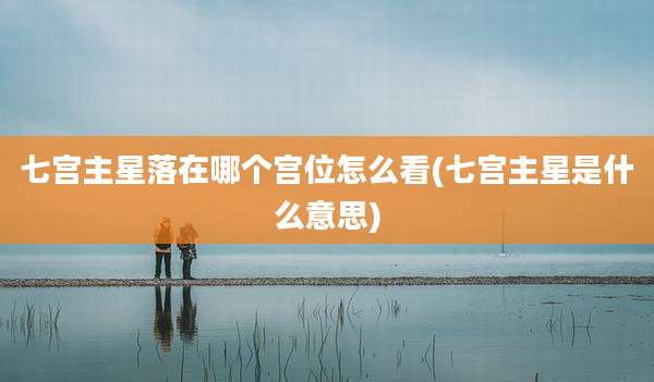 七宫主星落在哪个宫位怎么看(七宫主星是什么意思)