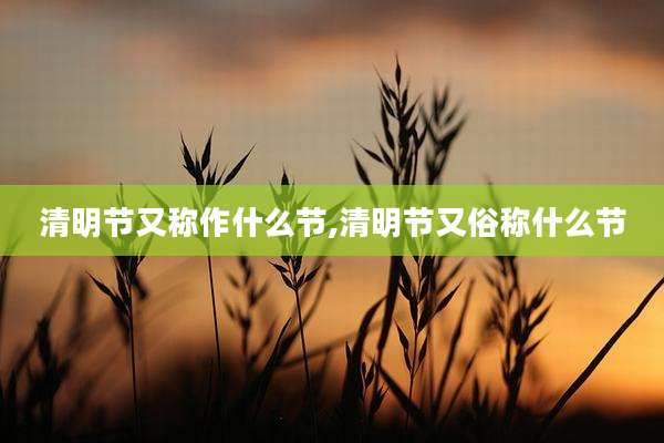 清明节又称作什么节,清明节又俗称什么节