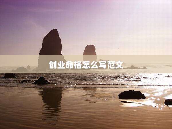 创业命格怎么写范文