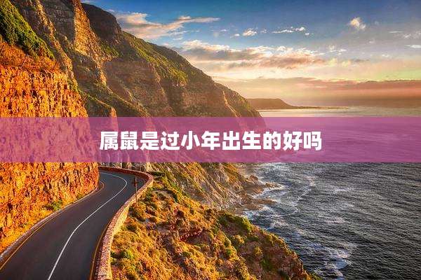 属鼠是过小年出生的好吗