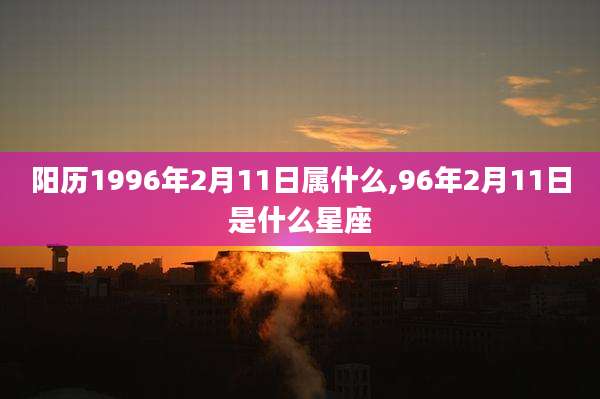 阳历1996年2月11日属什么,96年2月11日是什么星座