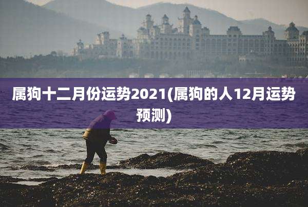 属狗十二月份运势2021(属狗的人12月运势预测)