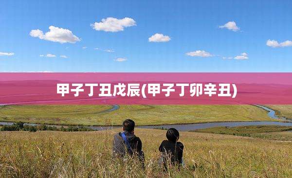 甲子丁丑戊辰(甲子丁卯辛丑)