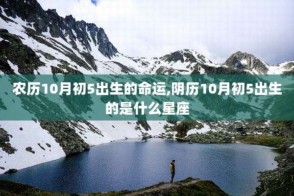 农历10月初5出生的命运,阴历10月初5出生的是什么星座
