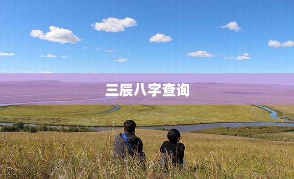 三辰八字查询