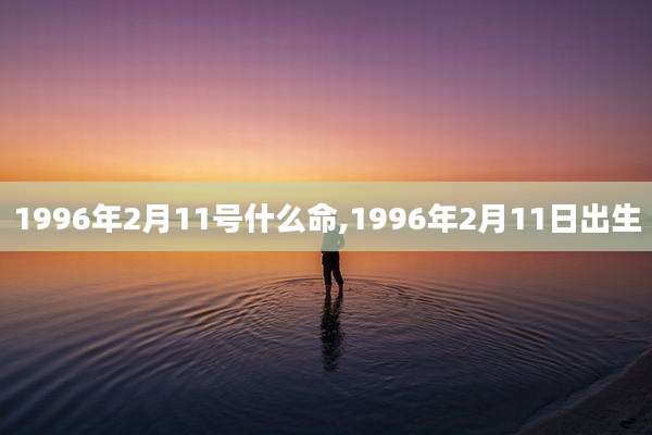 1996年2月11号什么命,1996年2月11日出生
