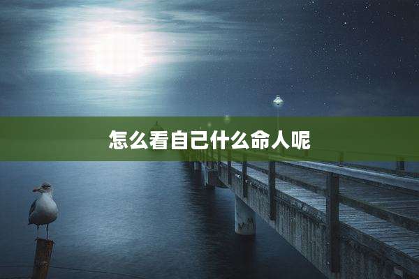 怎么看自己什么命人呢