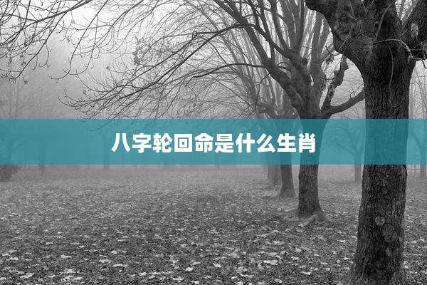 八字轮回命是什么生肖