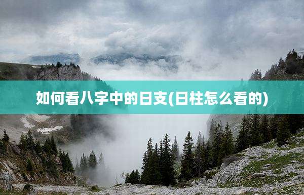 如何看八字中的日支(日柱怎么看的)