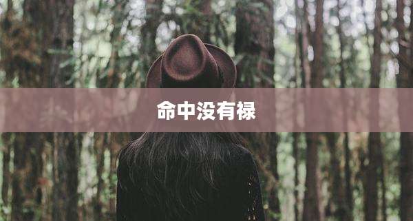 命中没有禄