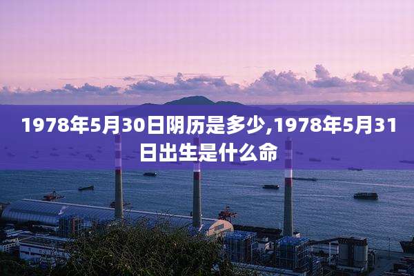 1978年5月30日阴历是多少,1978年5月31日出生是什么命