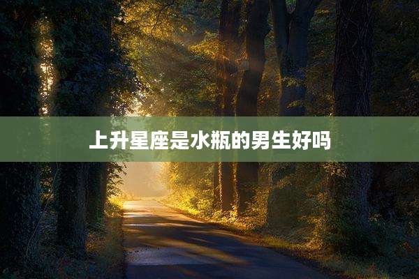 上升星座是水瓶的男生好吗