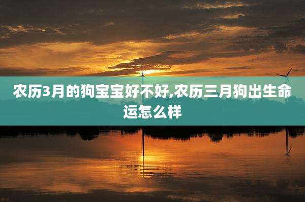 农历3月的狗宝宝好不好,农历三月狗出生命运怎么样