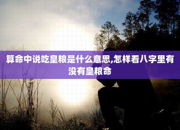 算命中说吃皇粮是什么意思,怎样看八字里有没有皇粮命