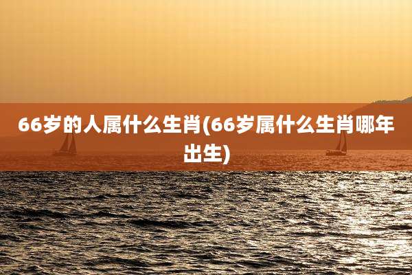 66岁的人属什么生肖(66岁属什么生肖哪年出生)