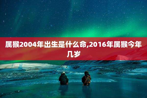 属猴2004年出生是什么命,2016年属猴今年几岁