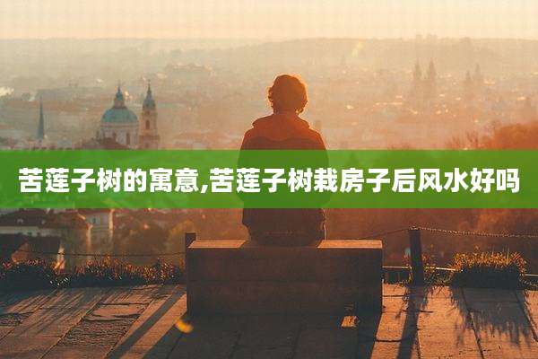 苦莲子树的寓意,苦莲子树栽房子后风水好吗